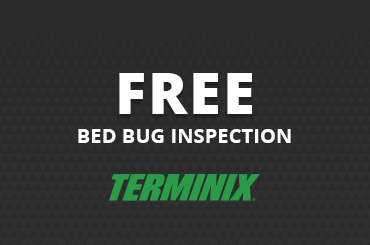 free bed bug inspection
