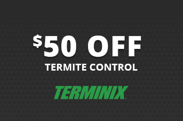termite-50-off